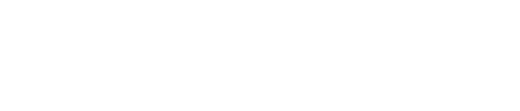 NETTI